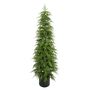 Pine Tree Potted - Green - 183cm