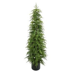 Pine Tree Potted - Green - 183cm