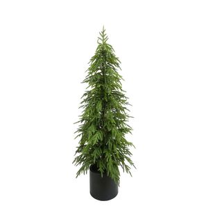 Pine Tree Potted - Green - 152cm