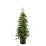 Pine Tree Potted - Green - 127cm