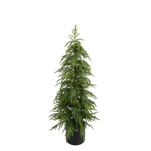Pine Tree Potted - Green - 127cm