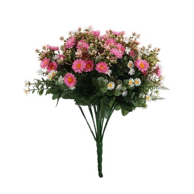 Pembroke Mini Daisy Bush x 36 - Pink