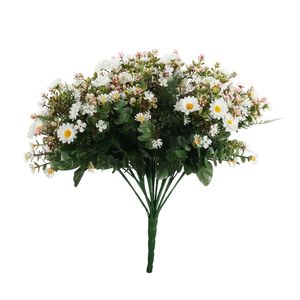 Pembroke Mini Daisy Bush x 36 - White
