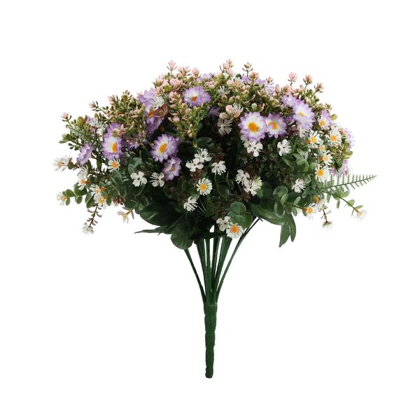 Pembroke Mini Daisy Bush x 36 - Lilac