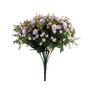 Pembroke Mini Daisy Bush x 36 - Lilac