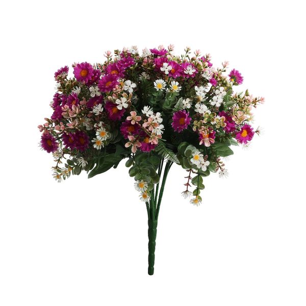 Pembroke Mini Daisy Bush x 36 - Purple