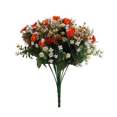 Pembroke Mini Daisy Bush x 36 - Orange