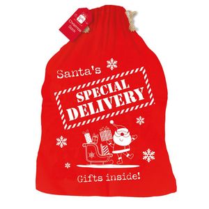 Special Delivery Gift Sack