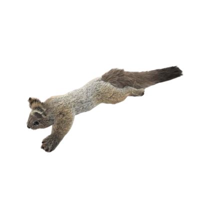 Flying Squirrel - 50cm