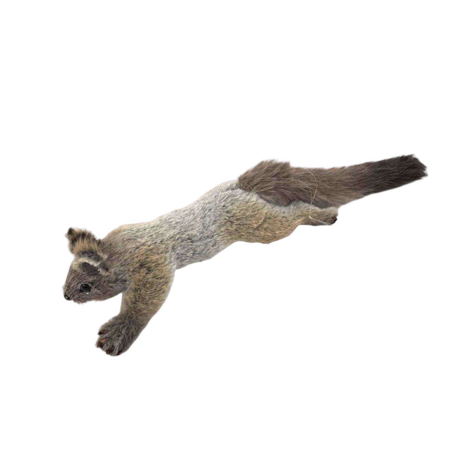 Flying Squirrel - 50cm