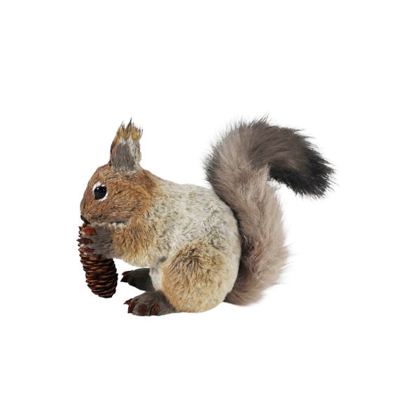 Squirrel with Pinecone