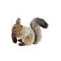 Squirrel with Pinecone