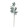 Berry Spray - Pale Green - 68cm