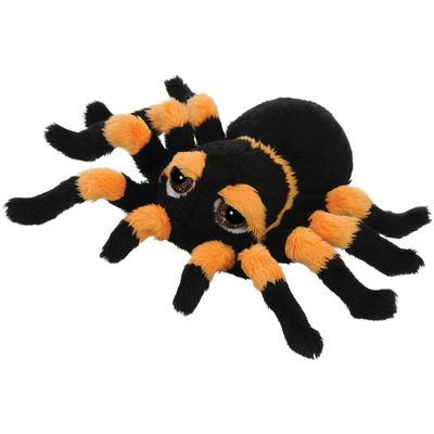 Small Spindra Tarantula Spider