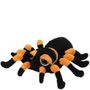 Medium Spindra Tarantula