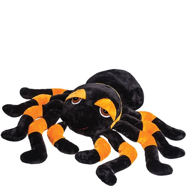 Jumbo Spindra Tarantula