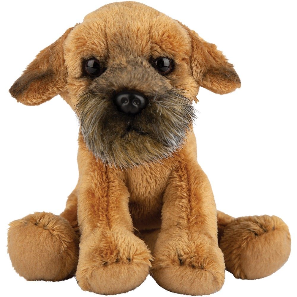 Border Terrier