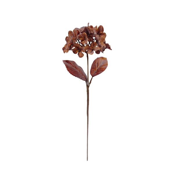 Hydrangea Stem - Copper - H61cm