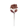 Hydrangea Stem - Copper - H61cm