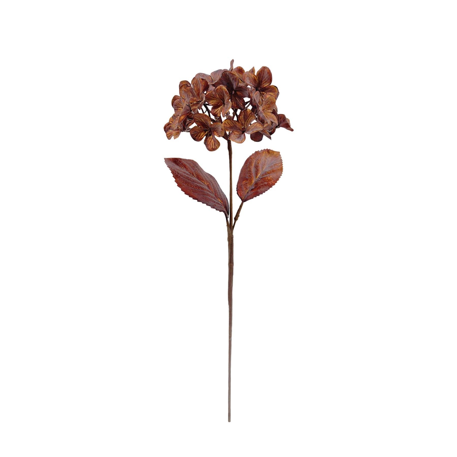 Hydrangea Stem - Copper - H61cm