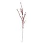 Berry Stem - H111cm