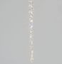 48cm Berry Cluster Drop Clear LED