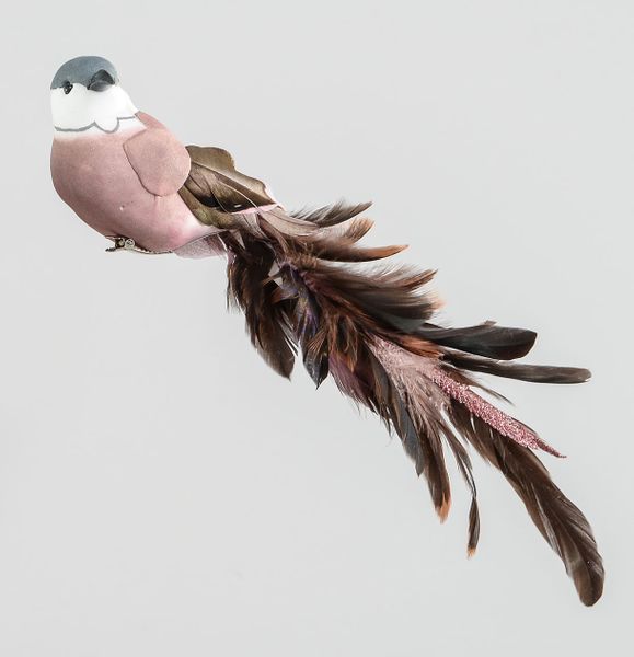 30cm Bird w/Feather/Clip Rose