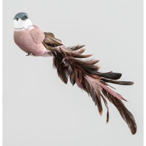 30cm Bird w/Feather/Clip Rose