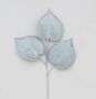 58cm Philodendron Green