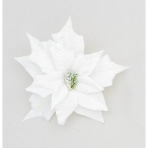 25cm Poinsettia w/Clip Cream