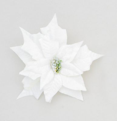 25cm Poinsettia w/Clip Cream