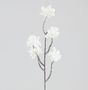 50cm Berry Cluster Spray Cream