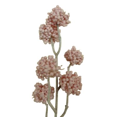 50cm Berry Cluster Spray Pink