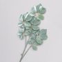 90cm Frosted Baby Schefflera Green