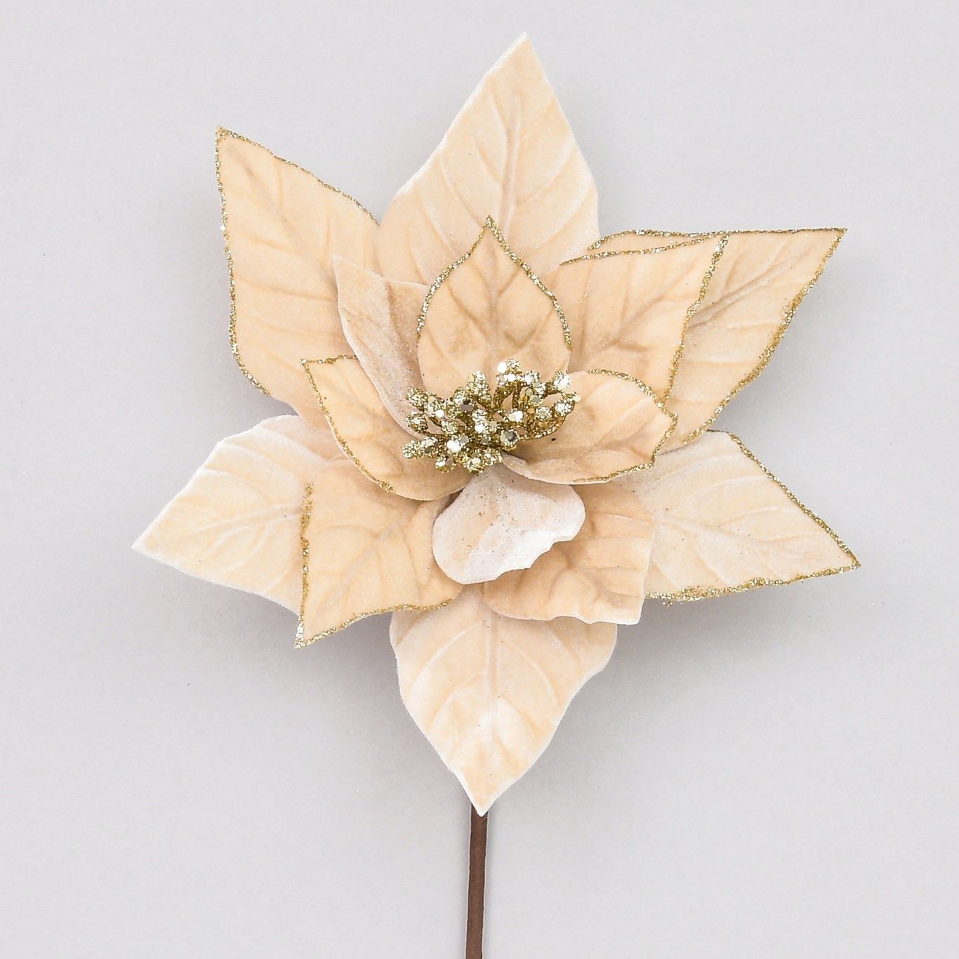 62cm Velvet Poinsettia Champagne