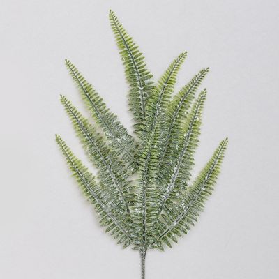 64cm Frosted Fern Spray