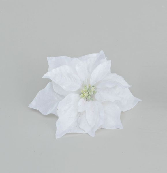 20cm Poinsettia w/Clip Cream