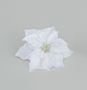 20cm Poinsettia w/Clip Cream