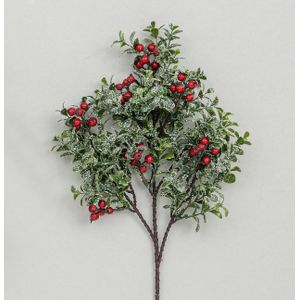 40cm Glitter Boxwood/Berry Spray