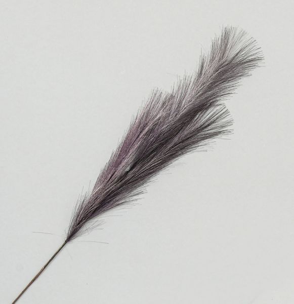 82cm Pampas Grass Spray Purple