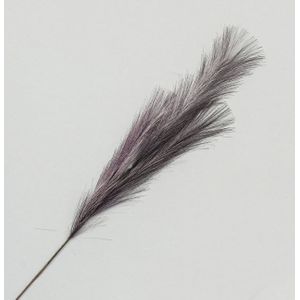82cm Pampas Grass Spray Purple