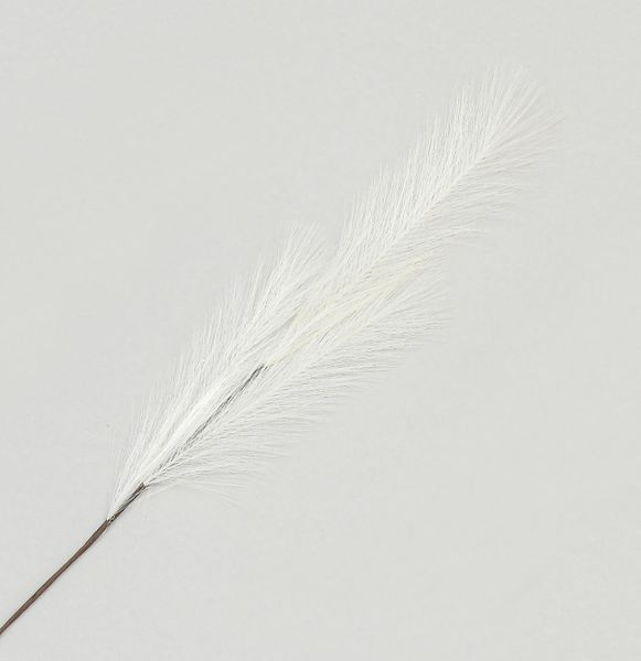 82cm Pampas Grass Spray White
