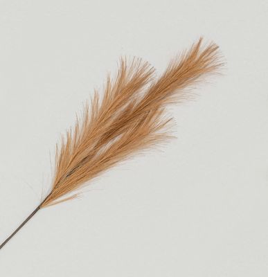 82cm Pampas Grass Spray Copper