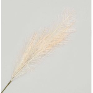 96cm Reed Grass Spray Cream