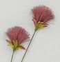 72cm PomPom Spray Burgundy