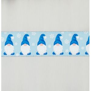2.5"x10Y Gonk Ribbon Blue