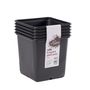 02976839 11cm Square Pots Black  PK5