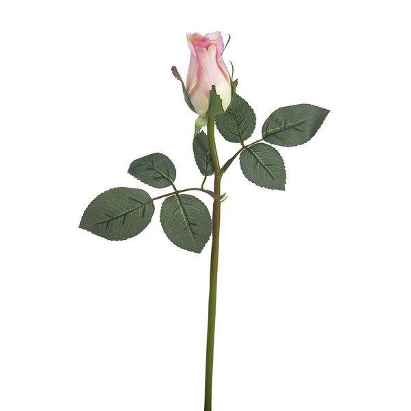 Brilliant Rosebud Lt Pink - 15" 