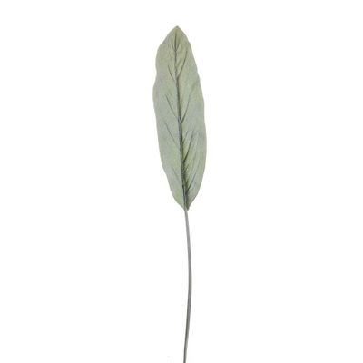 Frosted Cordyline Leaf 110Cm