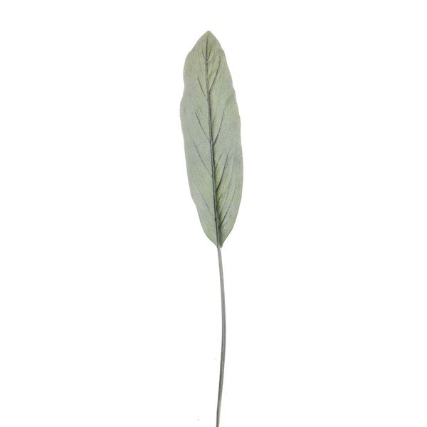Frosted Cordyline Leaf 110Cm